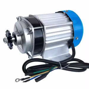 48V 60V 800W 1000W Electric Tricycle Gear Brushless Mid Chain Motor Modification